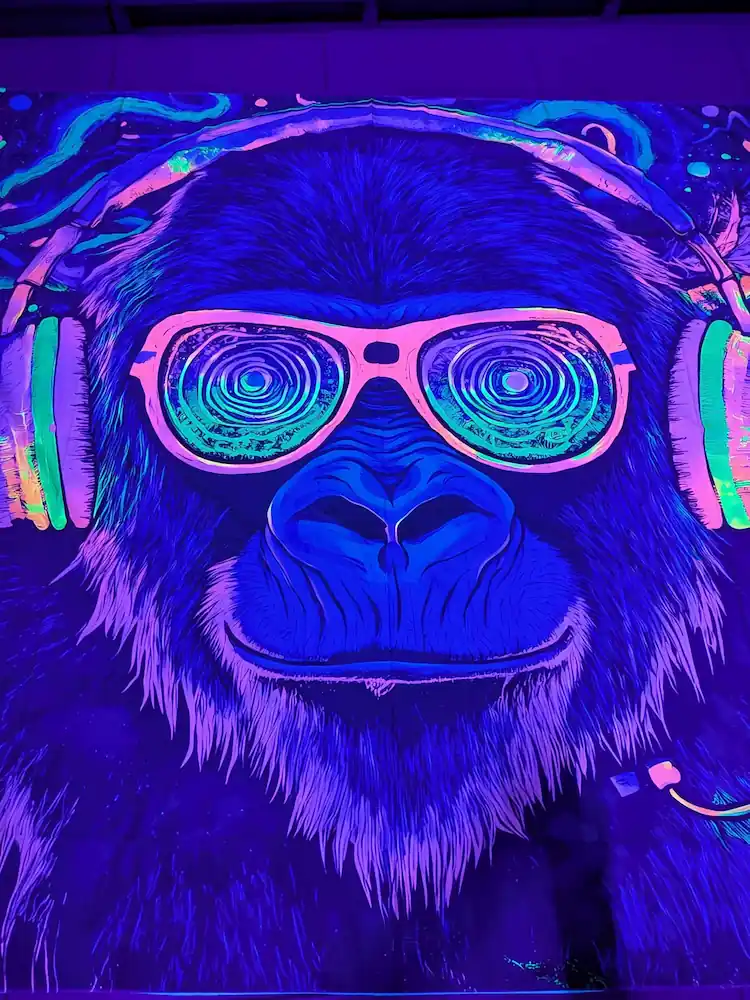 Visuel thème soirée fluo et musique