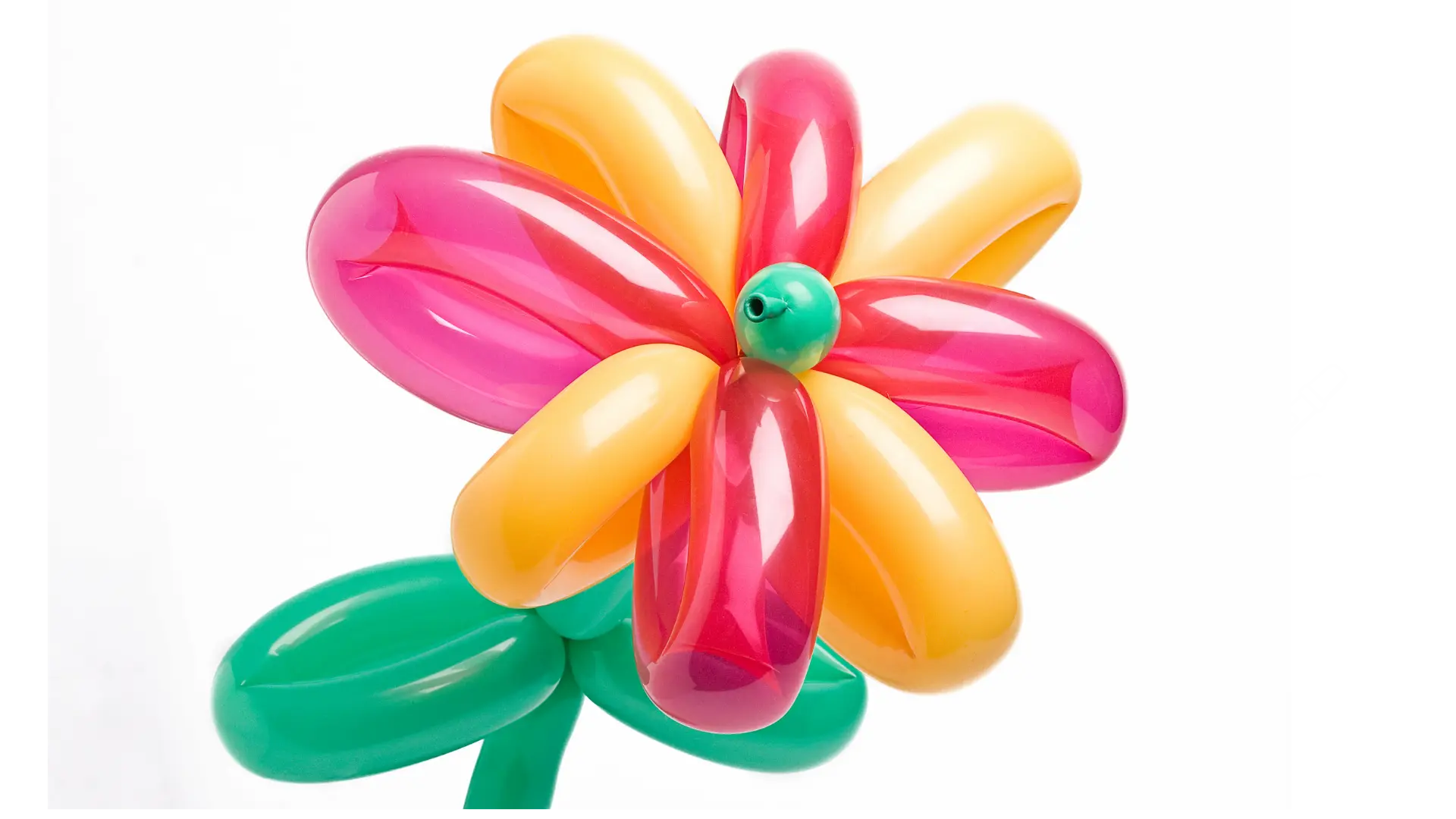 Sculpture de ballon multicolore en forme de fleur