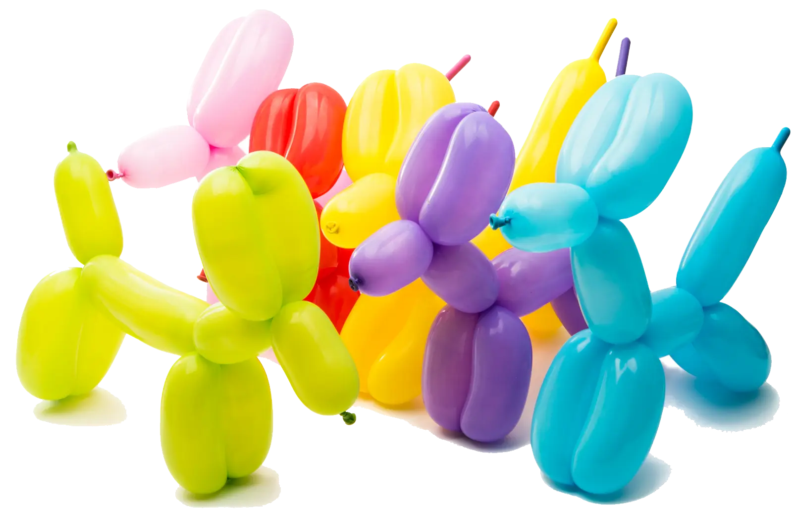 Sculptures sur ballons multicolores pour enfants